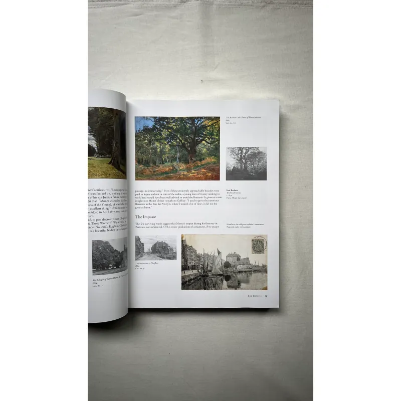 Monet (hardcover) 1028922