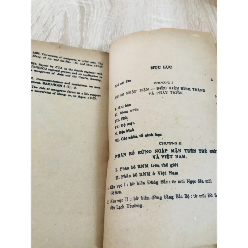 RỪNG NGẬP MẶN (T1) 960192