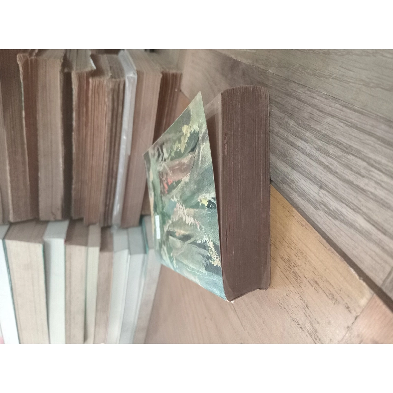 Forêt vierge - Ferreira de Castro 1011034