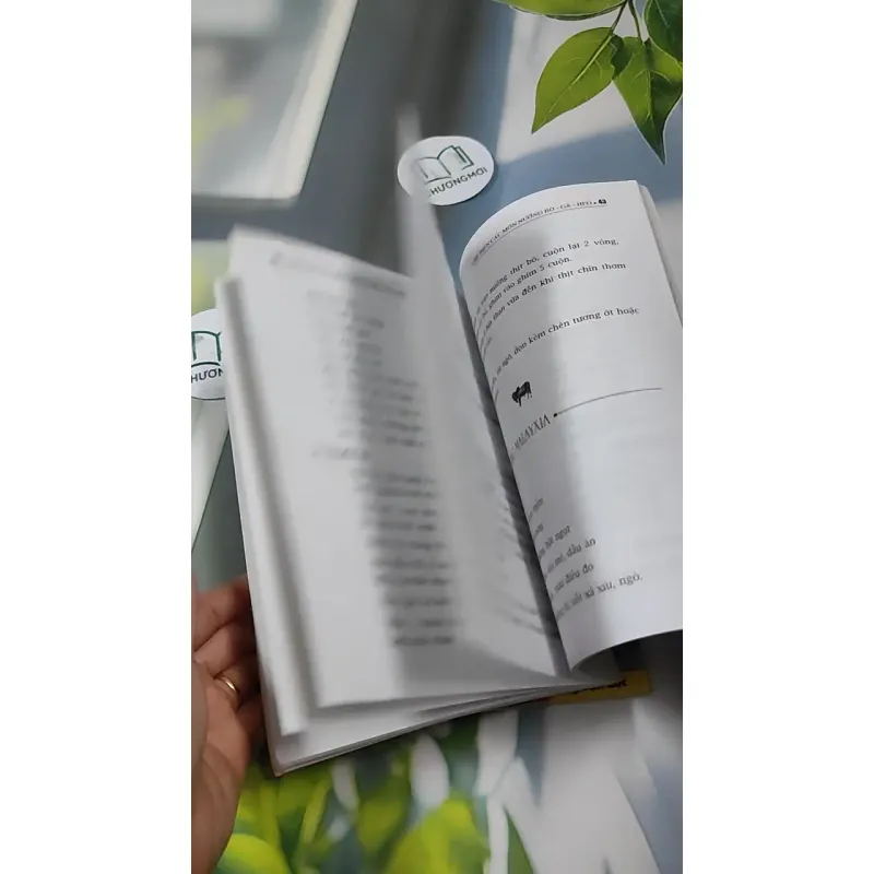 Combo Ẩm Thực: Món Ngon, Bánh Rán, Các Món Nướng 727320