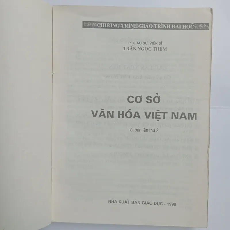 Cơ sở văn hóa Việt Nam 1027866