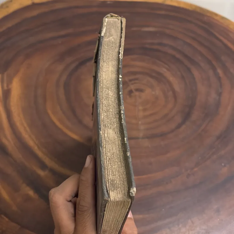 [Xem Kỹ Ảnh] - II Sách Lịch Sử: Con Người Trở Thành Khổng Lồ - 1982 1022276