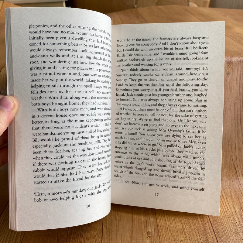 The Miner's Wife - by Diane Allen - Sách ngoại văn cũ 469435