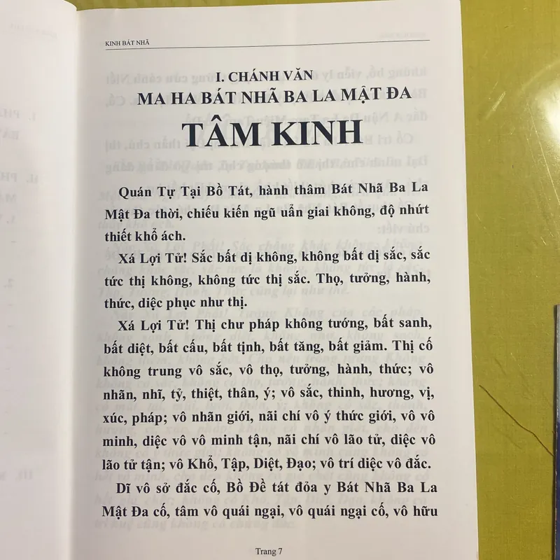 MA HA BÁT NHÃ BA LA MẬT ĐA TÂM KINH - Lược giải Đại Đức Thích Tuệ Hải 674555