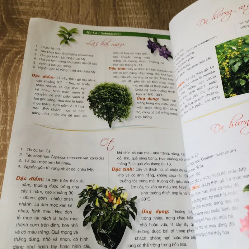 365 LOÀI HOA CẢNH 1028092