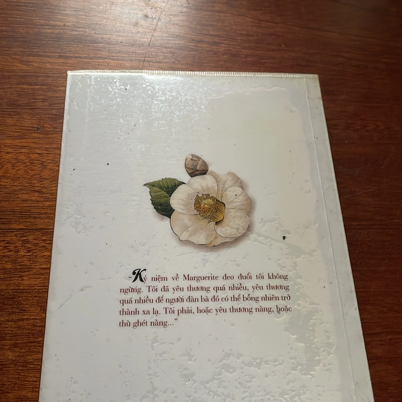 II Tiểu Thuyết: Trà Hoa Nữ - ALEXANDRE DUMAS - 2015 498454