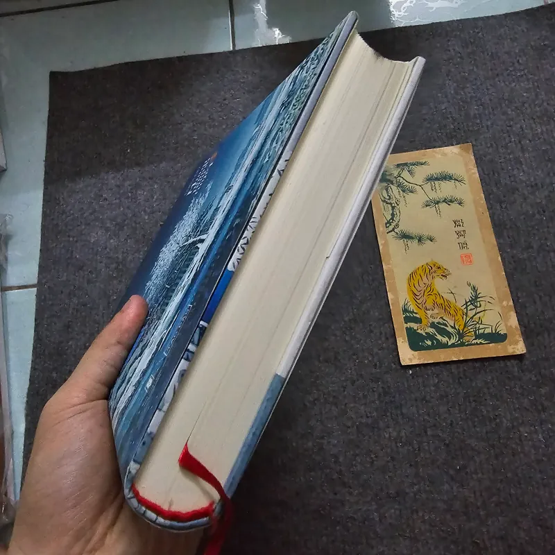 Mong manh hoa tuyết - bìa cứng 747745