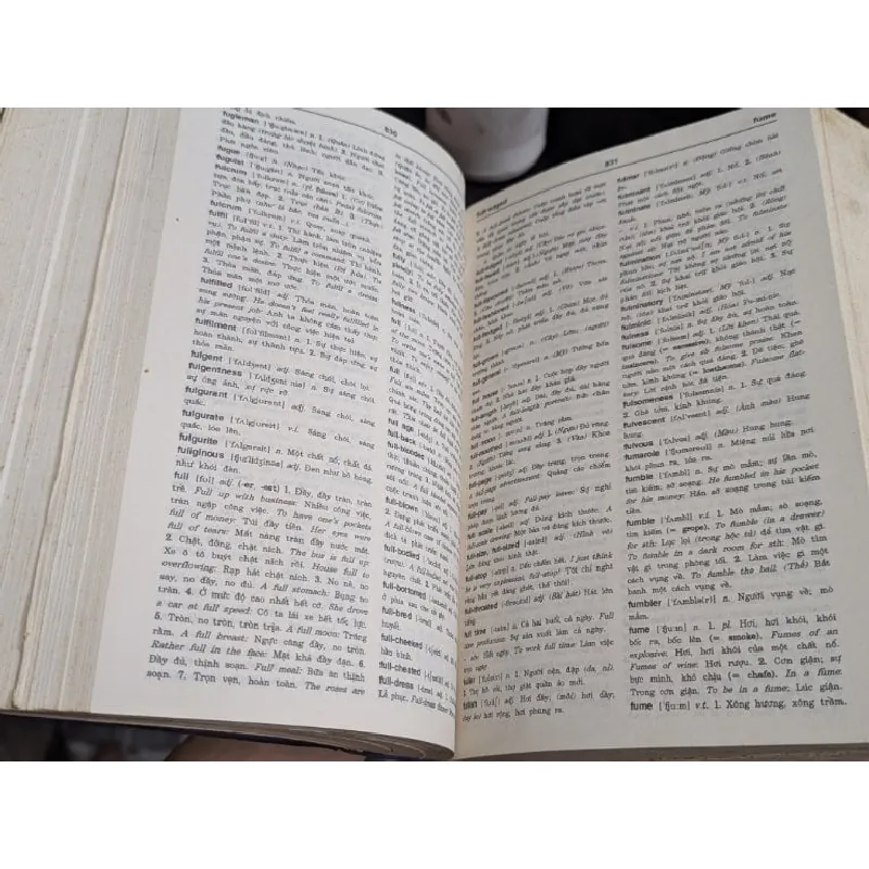 Từ điển Anh Việt - Nguyễn Xuân Chinh 698231