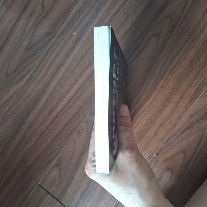 Chat gpt thực chiến 552402