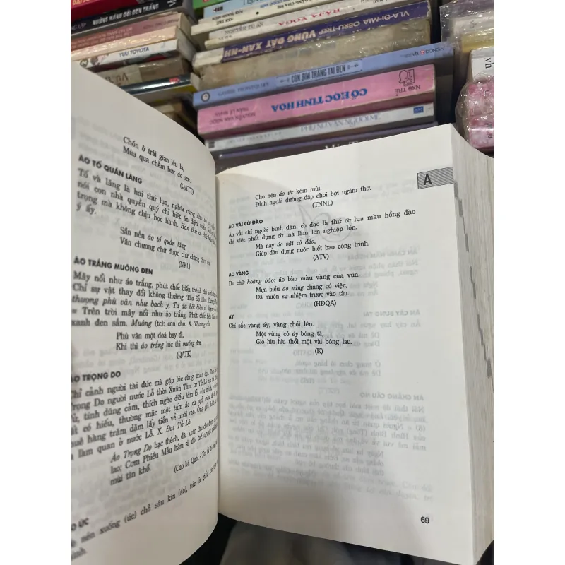 TỪ ĐIỂN VĂN HỌC QUỐC ÂM - NGUYỄN THẠCH GIANG  993041