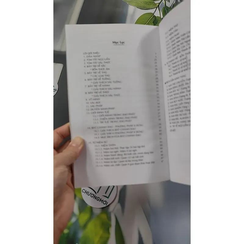 Tóm Tắt Năm Uẩn - Chơn Tín Toàn 776109