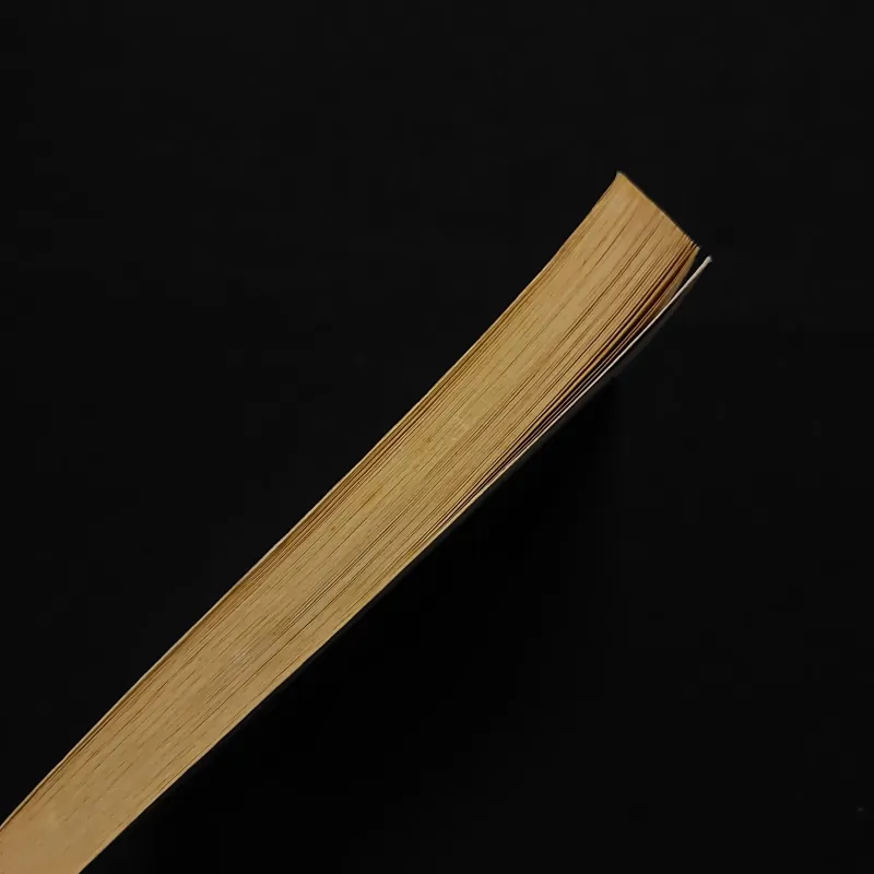 [Sách Cũ Ngoại Văn] The Reader - Bernhard Schlink 792469