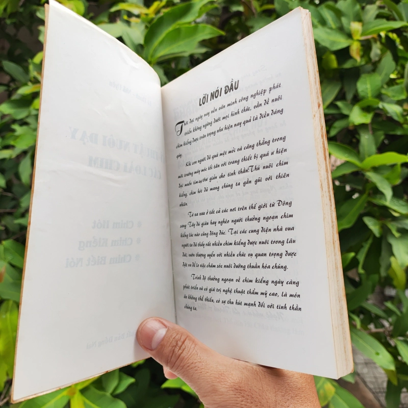 Kỹ Thuật Nuôi Dạy Các Loài Chim - Lê Thanh - Nhã Uyên 532118