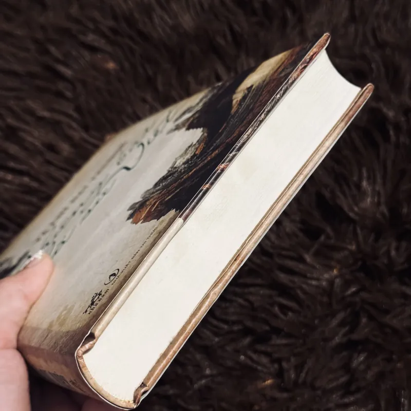 Những bài dã sử Việt (bìa cứng) 996363