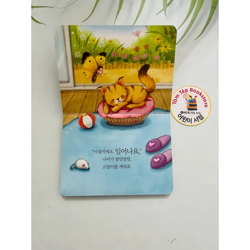 Set 인성발달 그림책 1066627