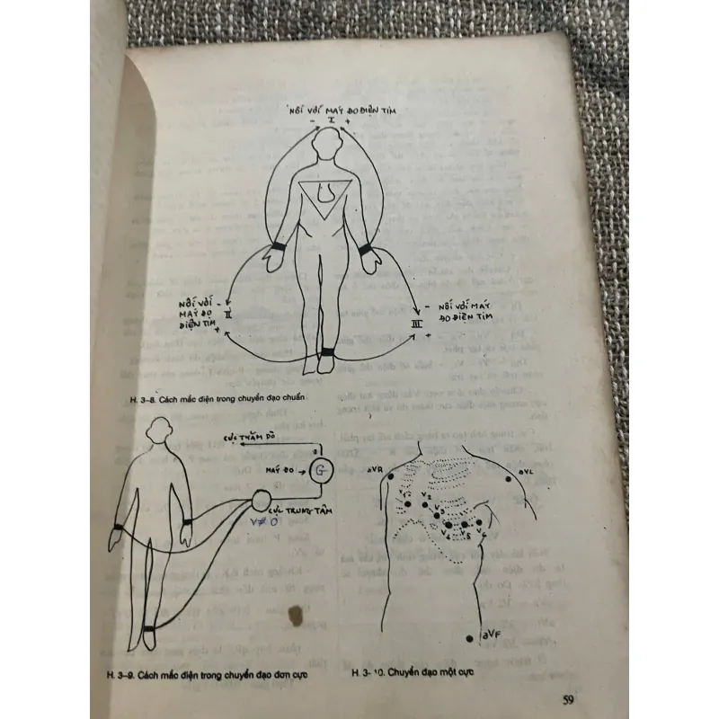 Sinh lý học, in năm 1991, Đại học Y dược Tp Hồ Chí Minh 1021241