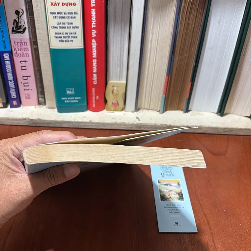 II Sách Tâm Linh: Nhật Ký Tâm Linh Của Cô Bé 9 Tuổi - KASARA - UCM Việt Nam (Dịch) - 2017 782370