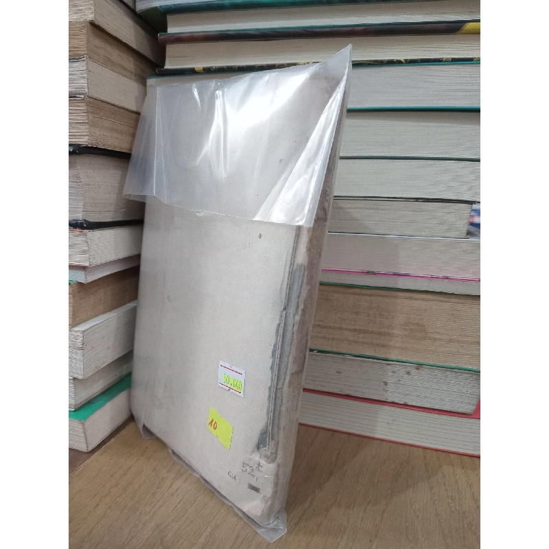 Sư tử biển 731733