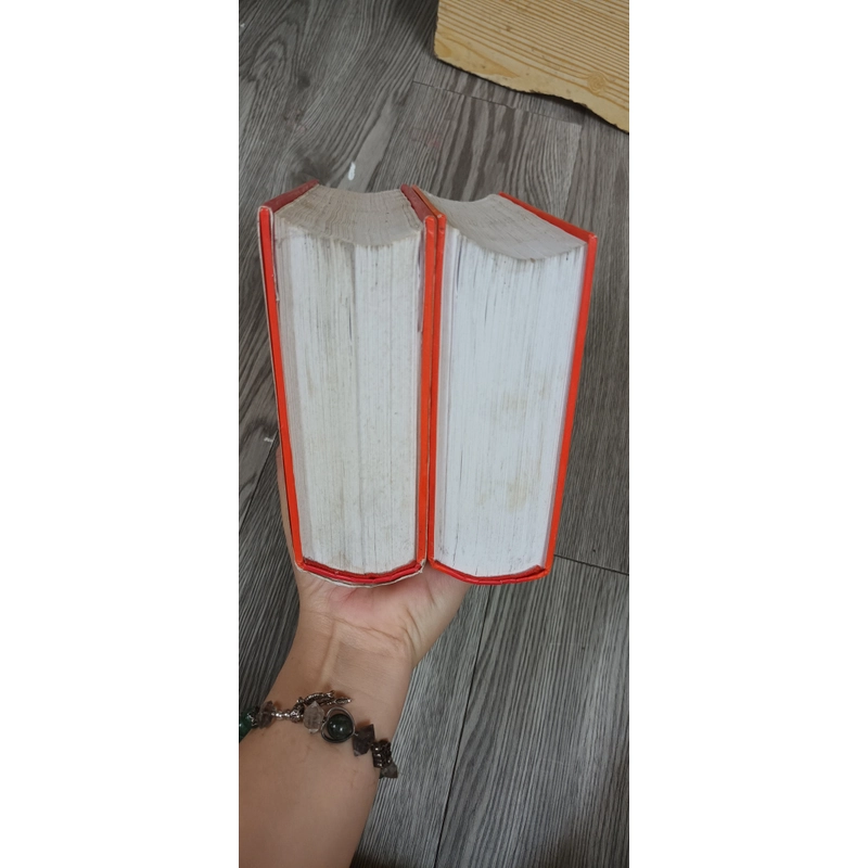 Thủy Hử Truyện Diễn Nghĩa- Nguyên Tác Thi Nại Am- Lời Bình Kim Thánh Thán 543324