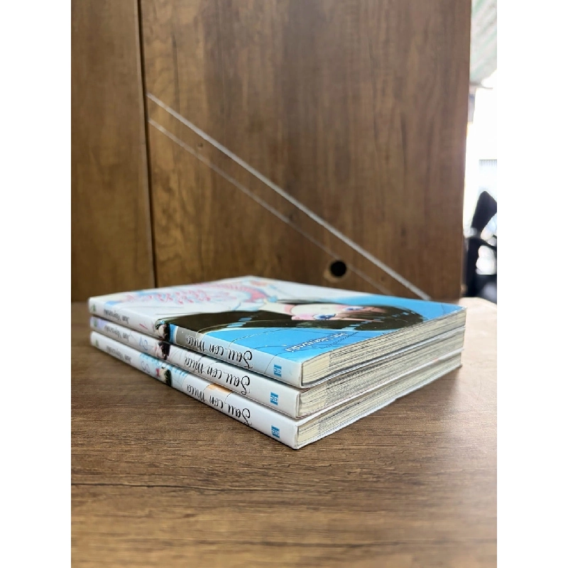 TRUYỆN TRANH SAU CƠN MƯA 377026