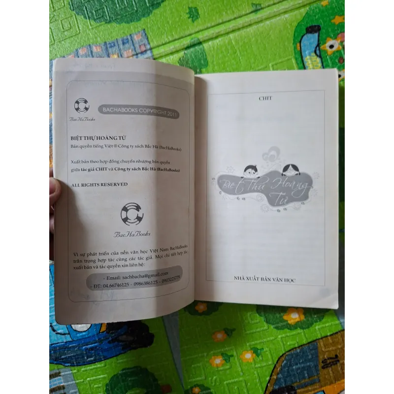 Biệt Thự Hoàng Tử 1022261