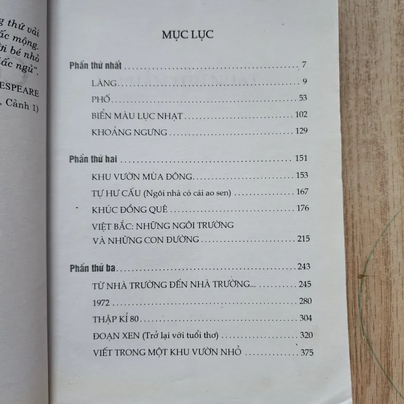 Cô gái nhìn mưa | đặng thị hạnh  1012795