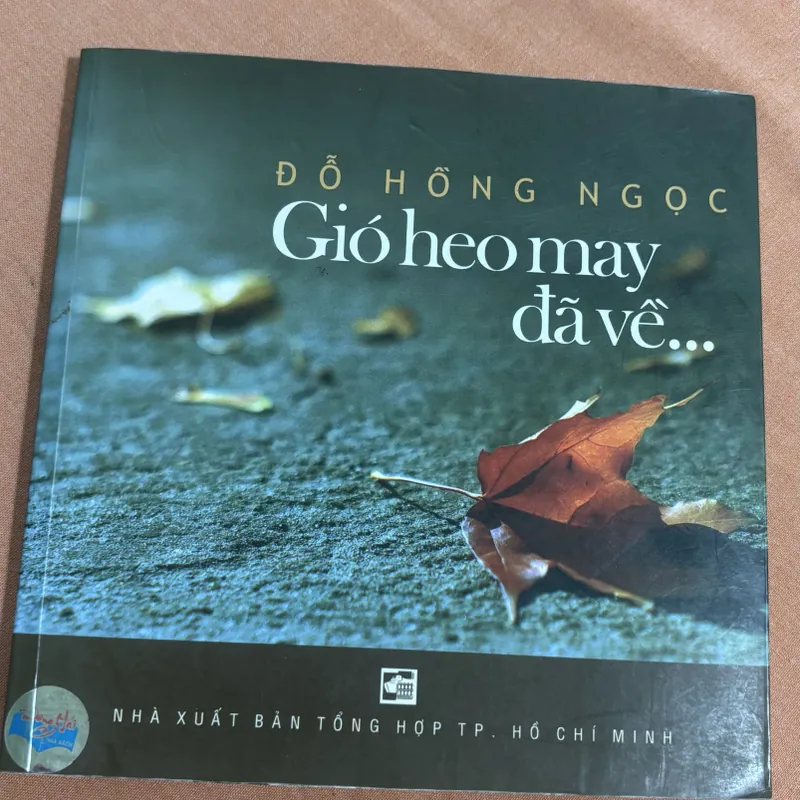 Gió heo may đã về 🌊 572922