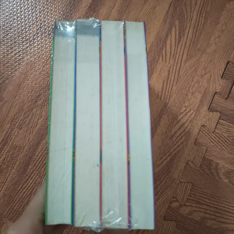 Thiên vũ- bộ phi yến 969210