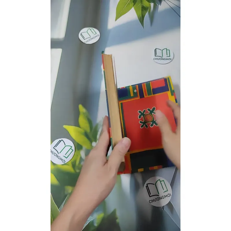 [MIỄN PHÍ BỌC SÁCH] [XƯA] Northern Lights (1980) 990449