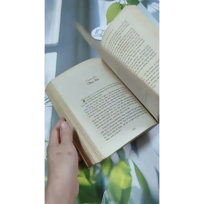 Ai Còn Chờ Ai Giữa Mùa Hoa Nở - Sói Xám Mọc Cánh 744737