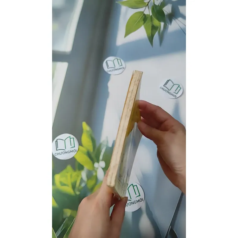 Kể Chuyện Các Đời Vua Nhà Nguyễn - Nguyễn Viết Kế 970249