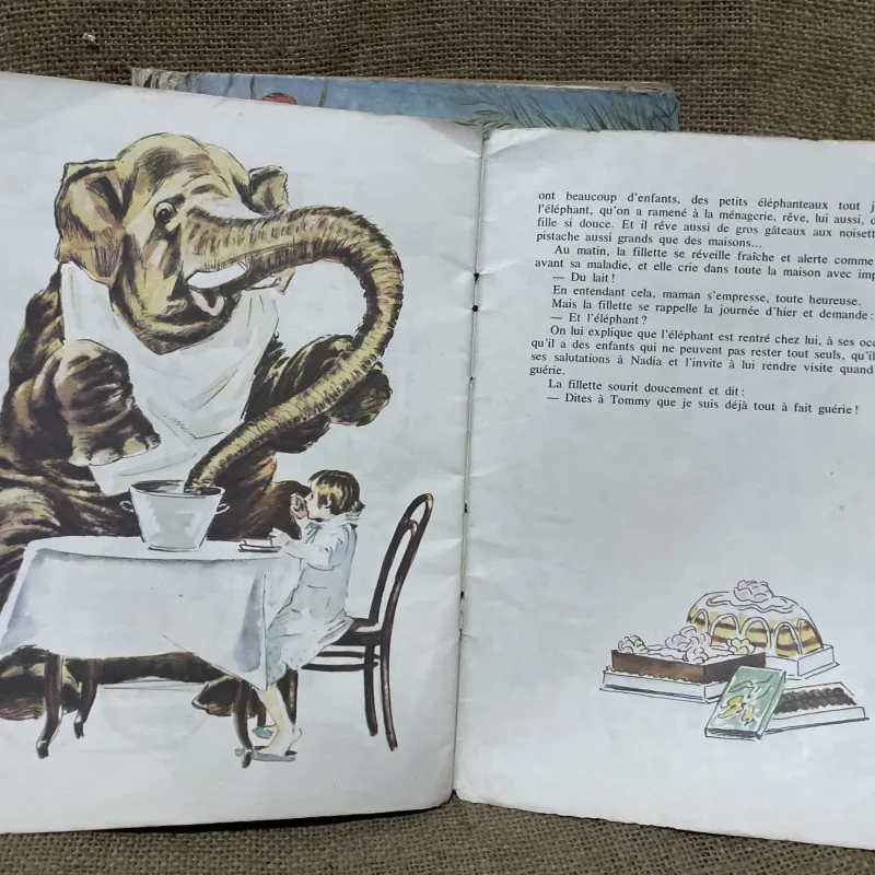 Truyện tranh tiếng Pháp - Khổ lớn  961680