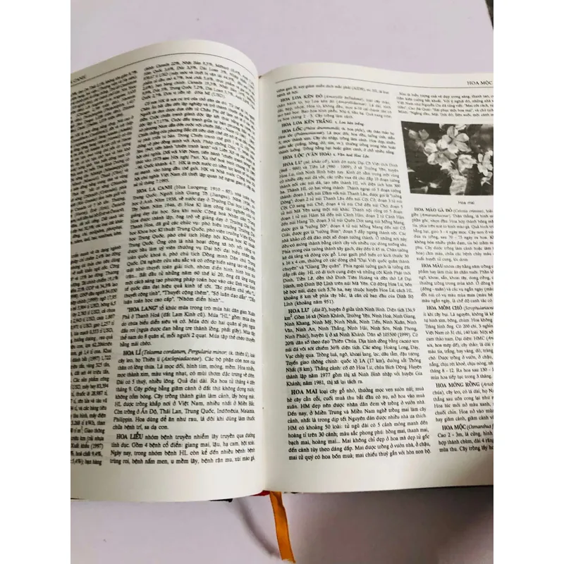 📚 TỪ ĐIỂN BÁCH KHOA VIỆT NAM – TẬP 2 601981