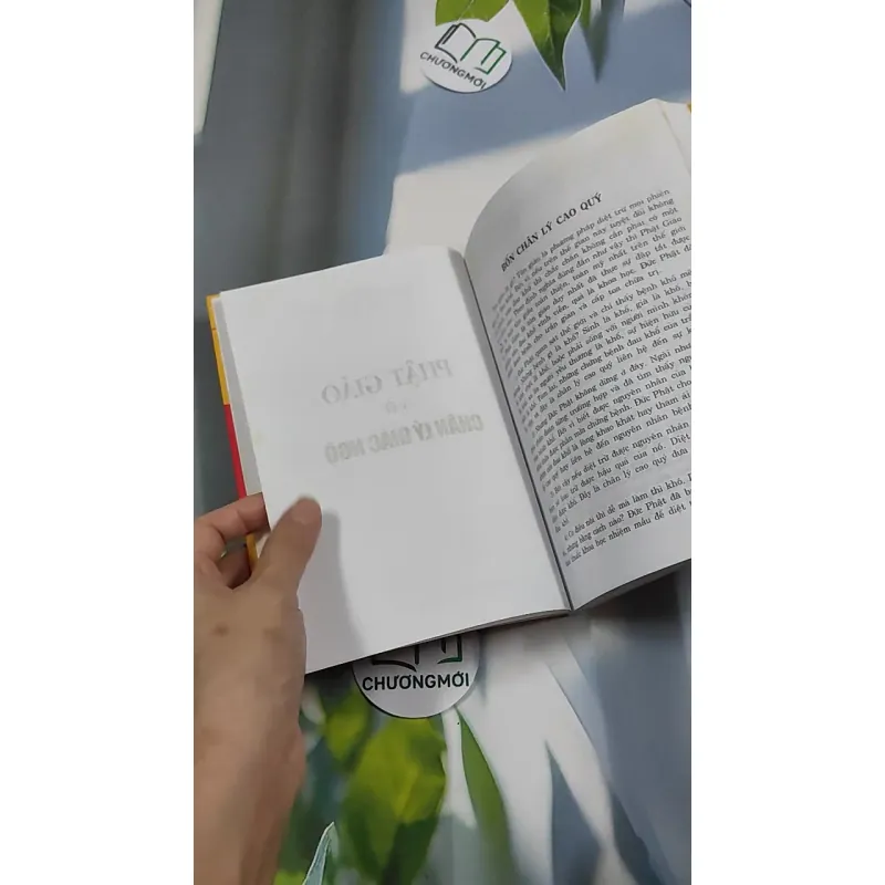 Phật giáo và chân lý giác ngộ - Trường Tâm & Hoàng Yến 776206