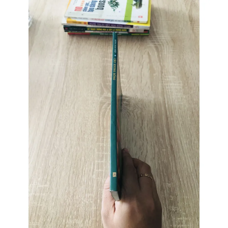 CÂY XƯƠNG RỒNG  1007319