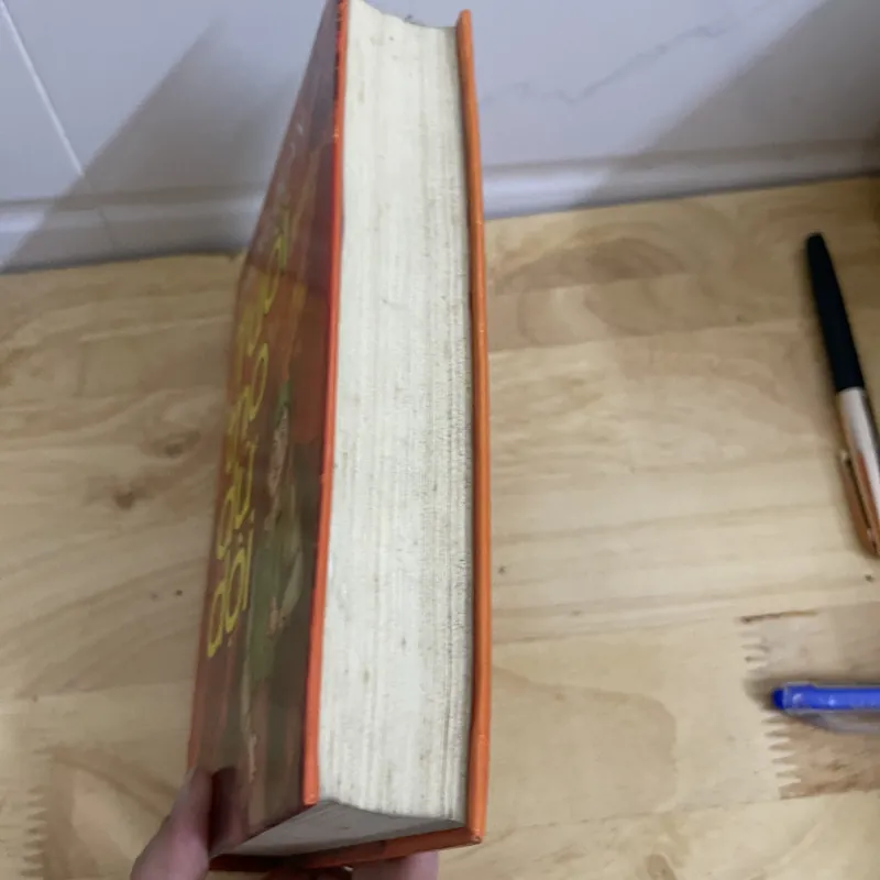 Tuổi thơ dữ dội 735540