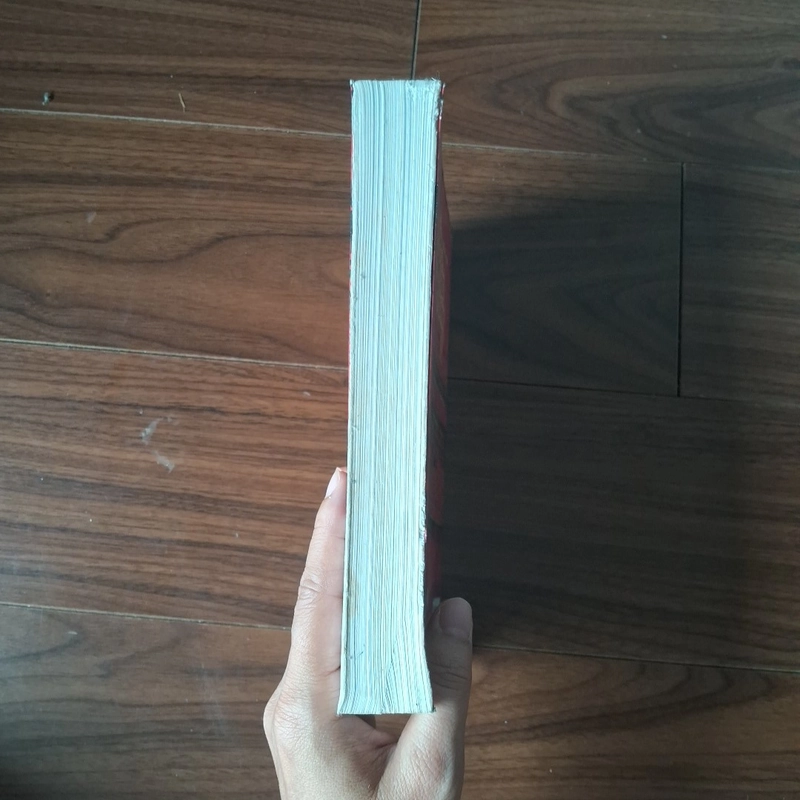 Hậu hồng lâu mộng 508349