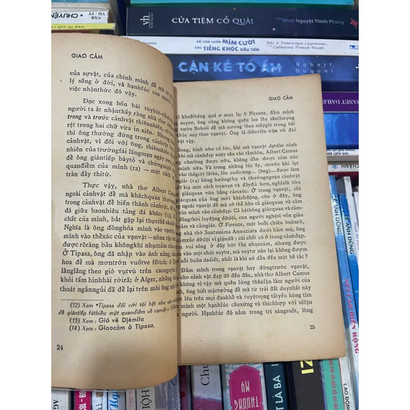 GIAO CẢM - ALBERT CAMUS (TRẦN THIỆN ĐẠO dịch) 992946