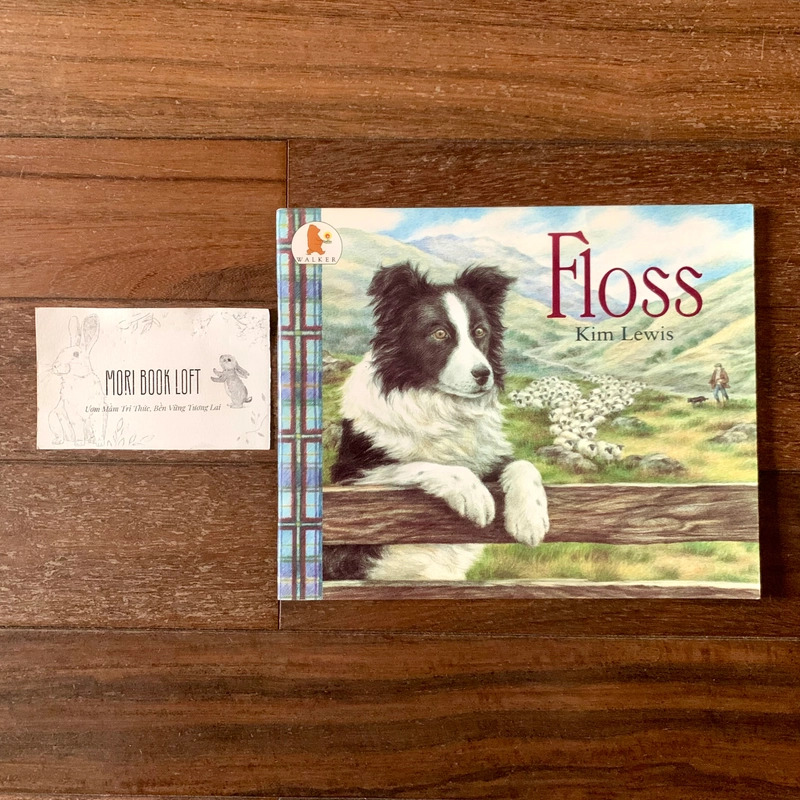 Sách ngoại văn Floss, Used 532098