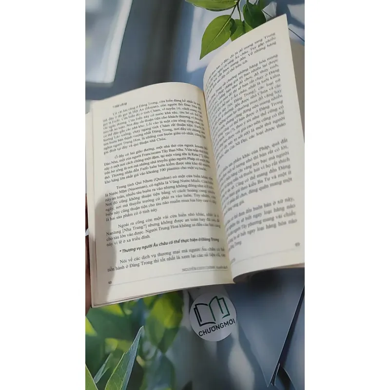 Đàng Trong Thời Chúa Nguyễn - Nguyễn Duy Chính 970274