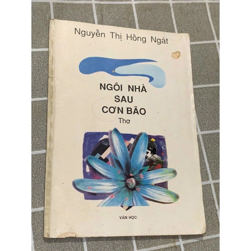 Thơ Nguyễn Thị Hồng Ngát - Ngôi nhà sua cơn bão 545433