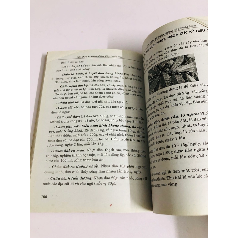SỨC KHỎE TỪ THIÊN NHIÊN CÂY THUỐC NAM GIA TRUYỀN 544962