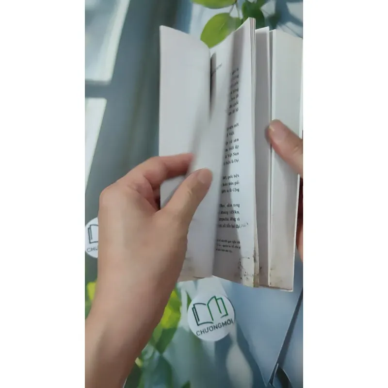 Các Triều Đại Việt Nam - Quỳnh Cư & Đỗ Đức Hùng 970263