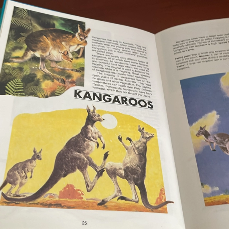 PICTURE BOOK The amazing world of living things 536222