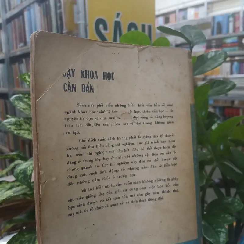 DẠY KHOA HỌC CĂN BẢN - RITA LANGLEY 735328