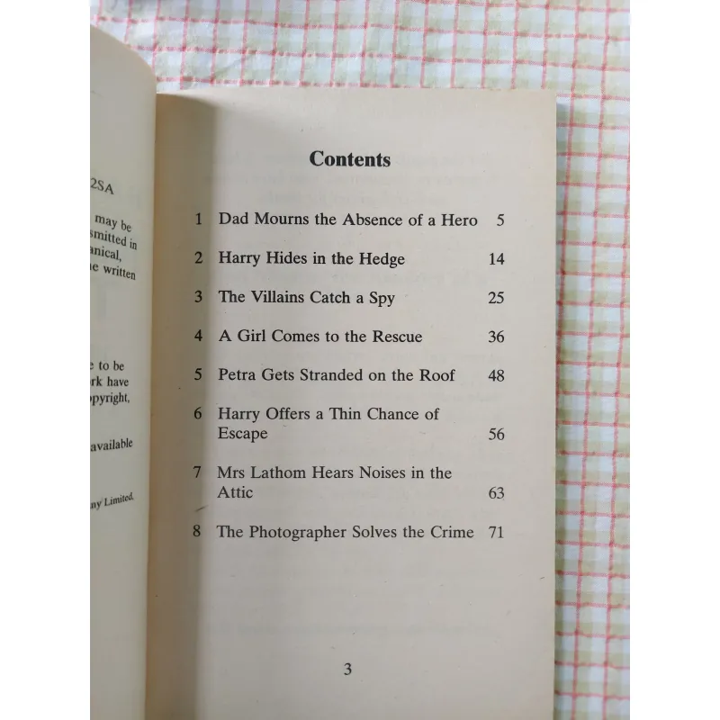 RUMPUS ON THE ROOF - Hazel Townson Minh họa: David McKee 750332