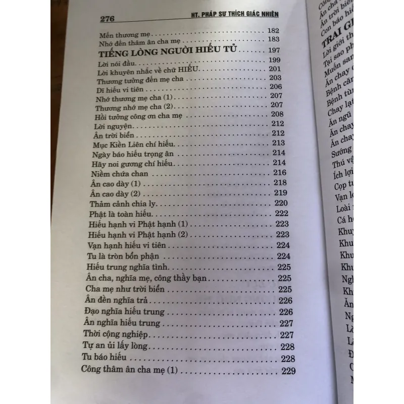 Ánh nhiên đăng 1000592