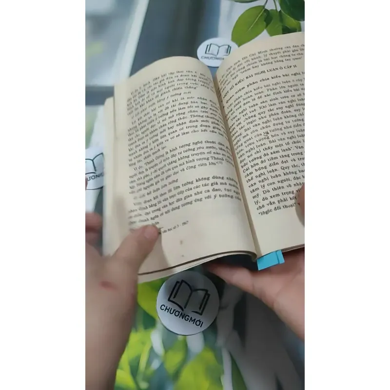 Một Số Vấn Đề Về Văn Nghị Luận Ở Cấp Hai - GS Nguyễn Thanh Hùng 727338