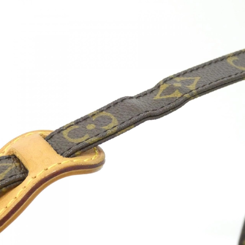 Túi đeo vai Louis Vuitton Monogram Amazon M45236 - Hàng hiệu Chính hãng 801926