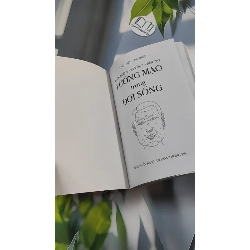 Tướng Mạo Trong Cuộc Sống - Thái Uyên & Hà Thiên 776128